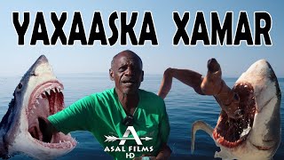 YAXAASKA XAMAR SIDUU WAX U CUNAA | BOQORKA BADDA IYO LUG GEEL | Asal Films 2020