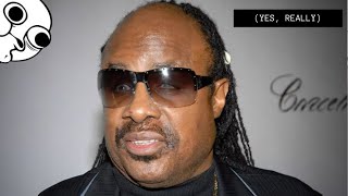 STEVIE WONDER IS NOT BLIND | And I can prove it