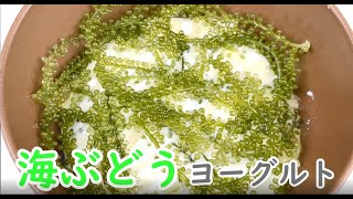 【ヨーグルト】〜海ぶどうの食べ方〜