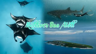 Maldives Hanifaru Bay I Freediving with 100 Mantas I Cinematic VLOG I Lumix S1H I Mavic 3