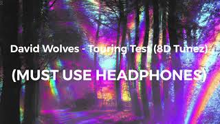 David Wolves - Touring Test (8D Tunez)