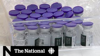 Worry, frustration over Toronto’s stalled vaccine rollout