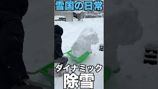 【豪雪】雪国女子の日常がダイナミックすぎた。\