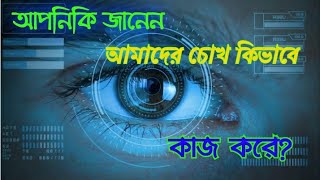 মানুষের চোখ কিভাবে কাজ করে । How can work humen eye