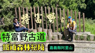 嘉義阿里山鐵道森林祕境【特富野古道】