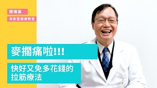 腰痠痛拉筋三招！解決腰痛煩惱｜保安堂中醫健康教室｜疼痛自救系列