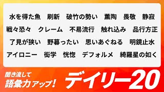 【デイリー語彙力 vol.058】聞き流して語彙力アップ！【日本語・カタカナ語】