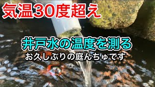 湧き上がる天然水は夏も冷たい！真夏日の井戸水の温度を測ってみる！