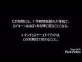 【サッカー】プレミア史に残るクソ最悪なラフプレー…