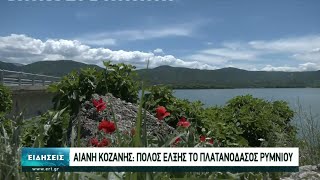 Πόλος έλξης για τους επισκέπτες το πλατανόδασος στο Ρύμνιο Κοζάνης | 14/06/2021 | ΕΡΤ