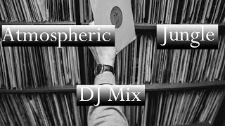 Atmospheric Jungle Vinyl DJ Mix