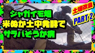 【ジャガイモ栽培土作り】さらばカチカチ② 米ヌカで🥔そうか病抑制🥔発酵フカフカ畑にする方法【土壌改良】