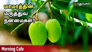 மாமரத்தின் மருத்துவ நன்மைகள்! EP 78 | Arivom Arogyam