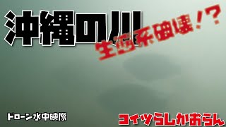 PowerRay【ブラックバスを求めて沖縄】新発見!?水中ドローンで水中探検～沖縄県嘉手納町 比謝川