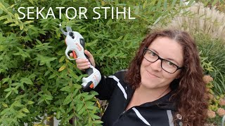 Nowość sekator Stihl Asa 20 mój nowy pomocnik w ogrodzie. @STIHLPolskaYT