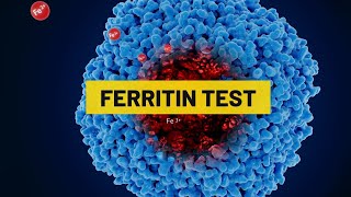 Ferritin Test | My Lab Solution