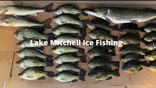 Lake Mitchell Ice Fishing, Pike, Bass, Crappie, and Bluegills