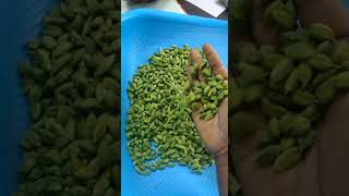 cardamom 7.5mm bold 7034582732