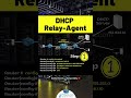 2 basic steps of cisco dhcp relay agent configuration quick configs ipcisco.com