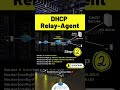 2 basic steps of cisco dhcp relay agent configuration quick configs ipcisco.com