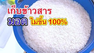 วิธีเก็บข้าวสารไม่ให้มอด มดขึ้น และป้องกันแมลงต่างๆวางไข่