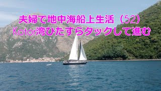 夫婦で地中海船上生活（52）Kotor湾ひたすらタックして狭い航路を進む