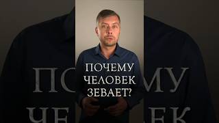 Почему человек зевает? #романфад