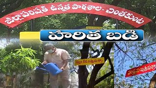 హరిత ప్రయోగశాలగా పాఠశాల | Chinthakunta ZPHS Sets Example to Others in Greenary @ Karimnagar