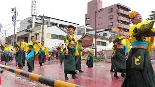 「 どすこい 」安濃津よさこい2018 10/6(土)【フェニックス】