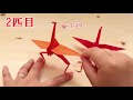 遊んでみた 進化系ツルの作り方 how to fold a paper crane severity