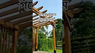 Inaya's Cafe and Restaurant in Sylhet || Most Beautiful place in Inaya's Cafe and Restaurant🎉