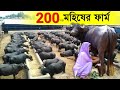 200 গরু মহিষের ফার্ম | Buffalo Farm | Cow farm | Dairy Farming in west bengal | Tata Yodha 2.0