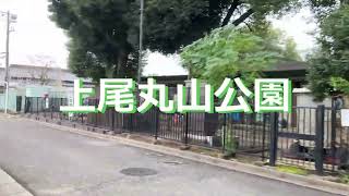 【散歩】上尾丸山公園 上尾市 犬の同伴🆗 公衆トイレ🈶