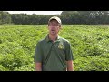 Darrin Haagenson: USDA Field Trials & Storage Overview