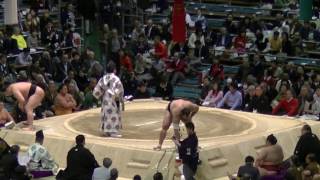 大砂嵐-東龍/2017.3.16(39)/osunaarashi-azumaryu/day5 #sumo