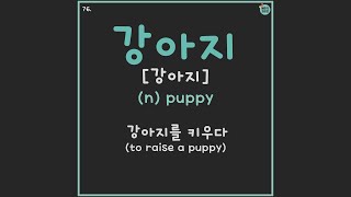 76-80 강아지, 키우다, 자식, 기르다, 고양이 | TOPIK Korean Vocabulary for beginners | Learn Korean