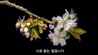 낭송 :이승주 [내가바라는세상]시:이기철