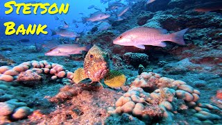 Scuba Diving Stetson Bank - May, 2023