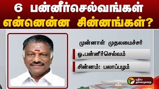 6 பன்னீர்செல்வங்கள்... என்னென்ன சின்னங்கள்? | ops | Ramanathapuram | PTT