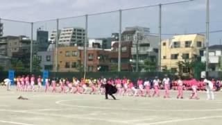 科技高体育祭🌟2016 応援合戦【桃団】1位