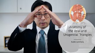 Anatomy of the Anal and Urogenital Triangles - Audio Summary by Dr. Christopher See