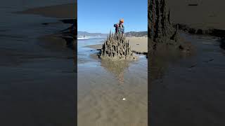 Giant Forest of sand