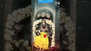 Pradosham special darshan Lord Shiva 🙏 Guru Dakshinamurthi  #youtubeshorts