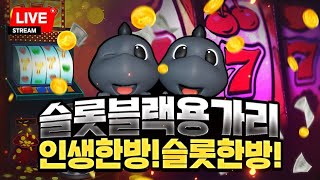 [슬롯실시간] 블랙용가리 테스트진행 #슬롯 #슬롯실시간