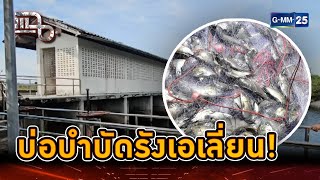 บ่อ 600 ล้านทิ้งร้าง สวรรค์ปลาหมอคางดำ | Highlight | แฉ 26 ส.ค. 67 | GMM25