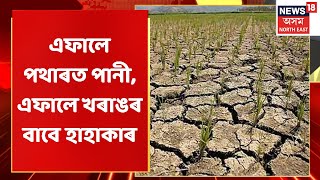 Tamarhat News | তামাৰহাটৰ কৃষকসকলৰ হাহাকাৰ পৰিস্থিতি | Assam News