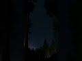 nightlapse in rurall vancouver island rainforest nightlapse timelapse stars starrynight gopro