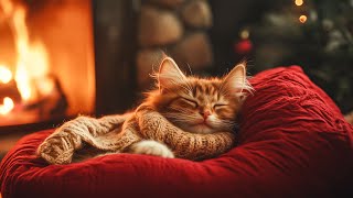 3 Hours of Relaxing Music for Cats 🐾 | Healing and Peaceful Sleep with Fireplace and Purring Sounds