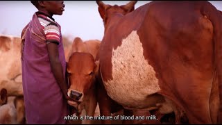 A Night in a Karamoja Kraal with Nomadic Cattle Keepers