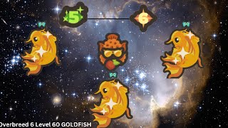 Gold Fish Overbreed 6 Level 60... TIme to take a break - Taming io